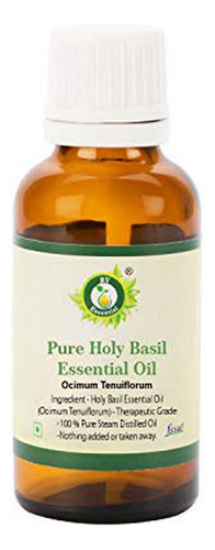 Aromaterapia Aceites - Holy Basil Essential Oil | Ocimum Ten