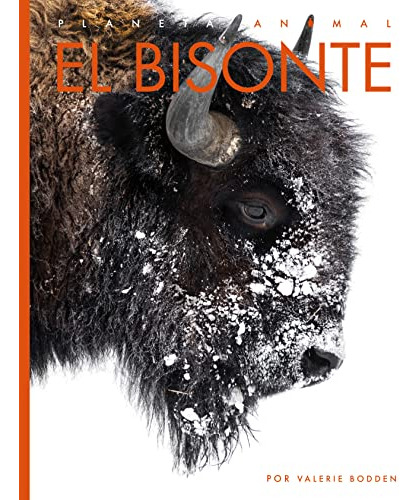 Libro : El Bisonte (planeta Animal) - Bodden, Valerie