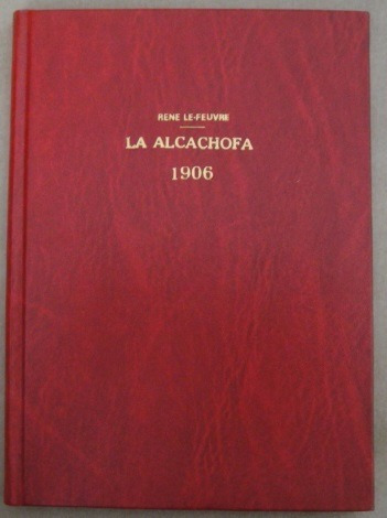 La Alcachofa Cultivo Chile Le Feuvre 1906 Fotos