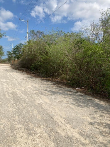 Imagen 3 de 4 de Terreno En Venta En Dzitya