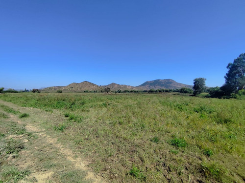 Arriendo Anual - 44 Ha Terreno Agrícola Cultivo Siembra