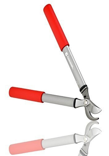 Corona Bp 3225d De Dos Manos Pruner, 3/4 Pulgadas Capacidad.