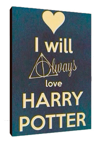 Cuadros Poster Harry Potter Hechizos Xl 33x48 (fyh (2))