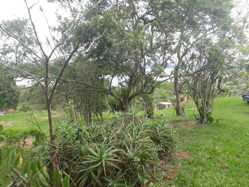 Imagem 21 de 30 de Lindo Sitio Em Joanópolis Com Fundo Para Represa. - 3026 - 67646211