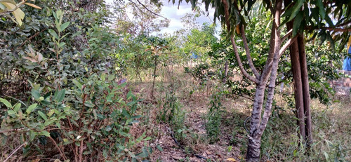 Lote Na Corumba4 5000 Mts Com Casa 3 Quartos 2 Banheiros Sal