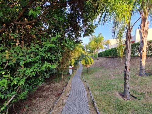 Imagem 29 de 30 de Terreno - Te00025 - 69445626