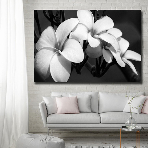 Imagen 1 de 4 de Cuadro Flor Blancas Y Negras 120x70 Canvas  Envio Gratis!es 