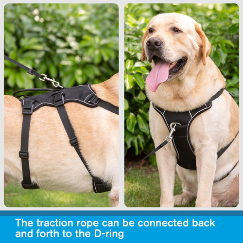 Arnés Para Perro Coodeo Ajustable Con Asa