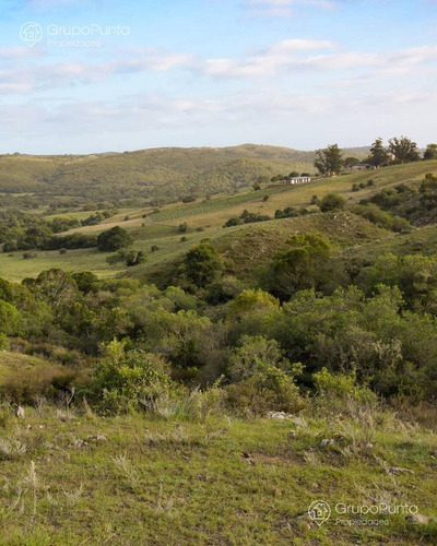 Imagen 5 de 15 de Chacras Financiadas En Minas Lavalleja