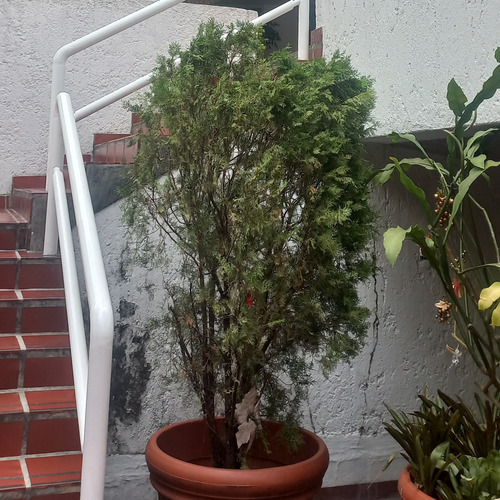 Vendo Este Lindo Apartamento En Lomas De Prados Del Este