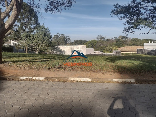 Imagem 9 de 12 de Terreno - Te00021 - 69336091