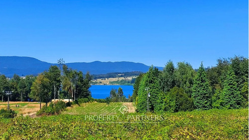 ¡oportunidad! Parcela Acceso  Lago Panguipulli