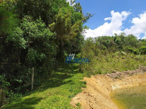 Chácara Com 5 Dormitórios À Venda, 45824 M² Por R$ 850.000 - Quatro Pinheiros - Mandirituba/paraná - Ch0173