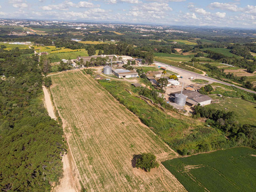 Imagem 4 de 17 de Terreno/ Área 20.000m² A Venda Em Araucária Pr. - Te00002 - 68828711
