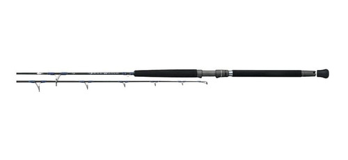 Caña Spinning Daiwa Darkwater Saltwater