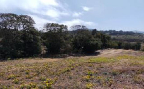 Industrial En Venta En Puchuncaví