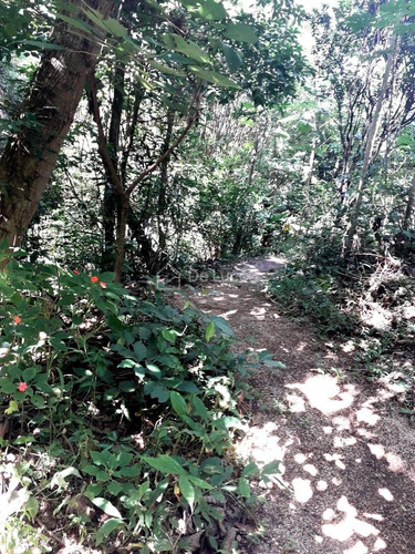 Imagem 8 de 28 de Chácara À Venda Em Chácaras Alpina - Ch009247