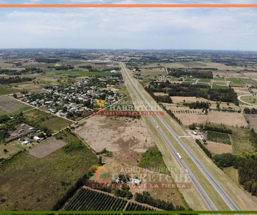 Imagen 2 de 14 de Terreno En Alquiler 44.857 M2 Urbanos Ruta 5 Apto Parque Industrial U$s 0.10 (el M2)