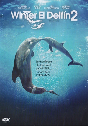 Winter El Delfin 2 Pelicula Dvd