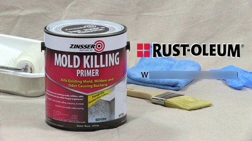 Mold Killing  Pintura Mata Hongos Zinsser  X 1