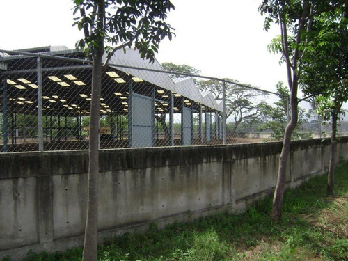 Imagen 9 de 10 de Terreno Con Estructura Para Galpones Industriales