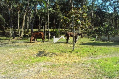 Imagem 10 de 14 de Sítio No Jardim Coronel Em Itanhaém