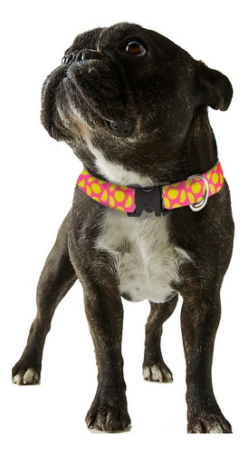 Imagen 6 de 7 de Collar Estampado Perros Chicos Medianos Confort Calidad