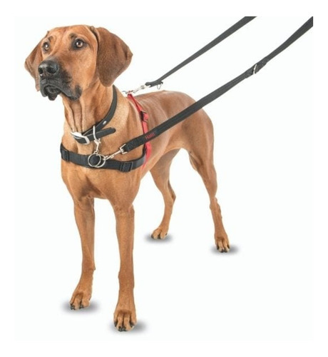 Imagen 3 de 6 de Arnes Halti Medium Control Frontal Perro Mediano