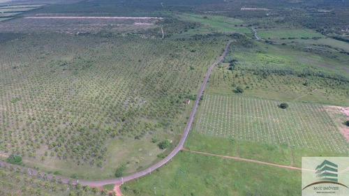 Imagem 9 de 12 de Fazenda 111ha, Santa Luzia De Touros