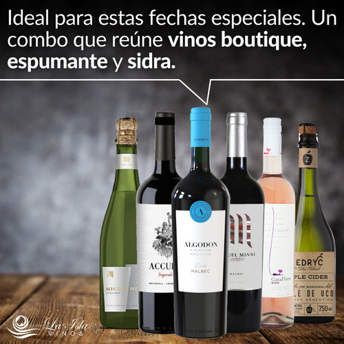 Vinos Boutique + Espumante + Sidra. Caja Full 6 Botellas --