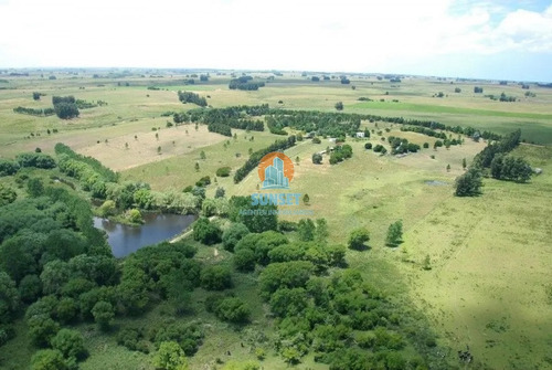 Maldonado Chacras En Venta De 5, 6 Y 7 Hectareas - Ref: 302