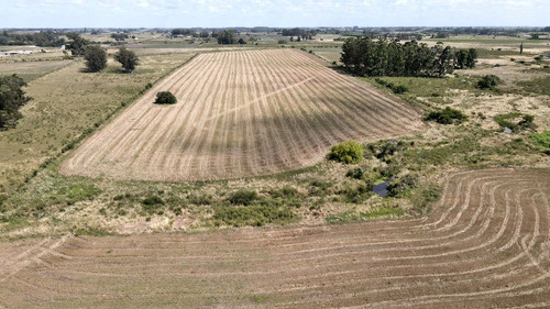 Se Venden 10 Hás. En La Paloma, Canelones