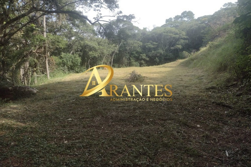 Imagem 14 de 14 de Terreno - Te00068 - 70716178