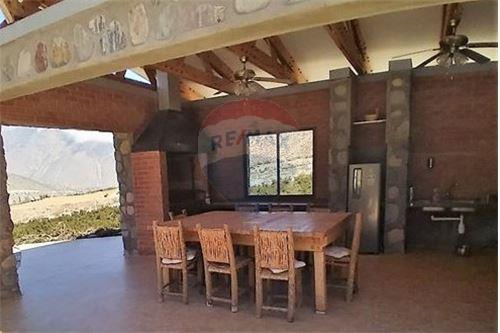 Campo En Venta - Colliguay- Iv Region-paltas