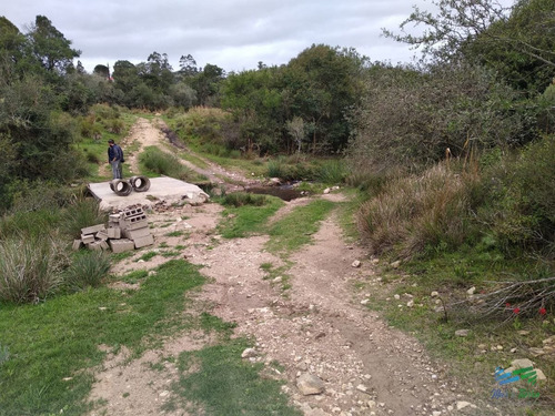 Imagen 24 de 30 de Vendo Excelente Chacra De 39 Hectáreas Para Granja Turística O Tambo, Aigua, Punta Del Este - Aiguá Aiguá