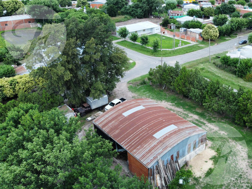 Galpón En Gobernador Castro (san Pedro)