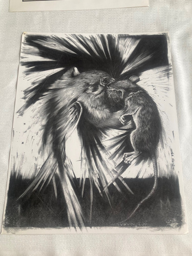 Divertimentos, Cinco Dibujos De Rafael Cauduro (Usado)