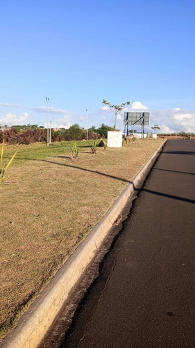 Lindo Lote 10x25 Com Iptu 2025 Pago