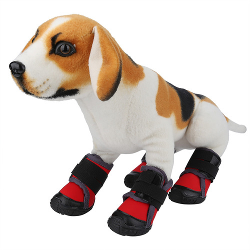 Zapatos De Moda Para Cachorros, Para Perros Grandes, Antides