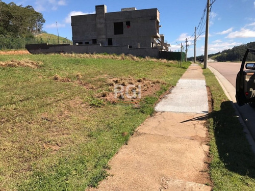 Terreno Em Vila Nova - El50874908
