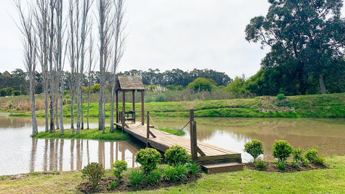 Imagen 21 de 30 de Campo - Montoya