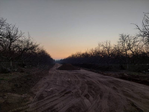 Imagen 7 de 7 de Pirque / Fundo Santa Rita