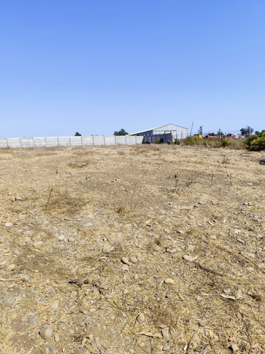 Sitios 800m2 Las Gaviotas Planos Concon