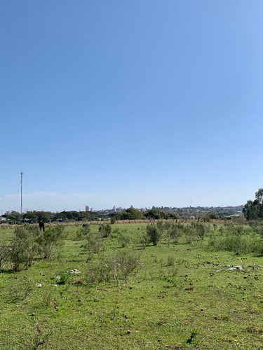 En Venta Chacra En Salto. Ruta 3 ¡atención Inversores Y Empresarios!