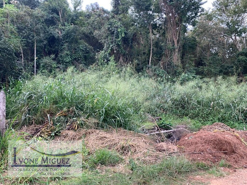 Imagem 2 de 6 de Terreno Em Barão De Javary - Miguel Pereira - 3308