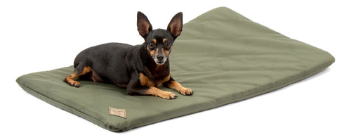 Colchonete Resistente Verde Bichinho Chic M