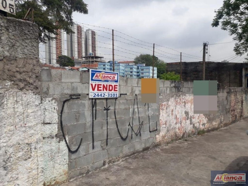 Imagem 13 de 15 de Terreno À Venda, 788 M² - Vila Moreira - Guarulhos/sp - Ai12044