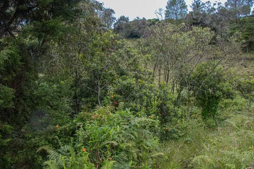Casa Finca En Guarne 9.000 M2