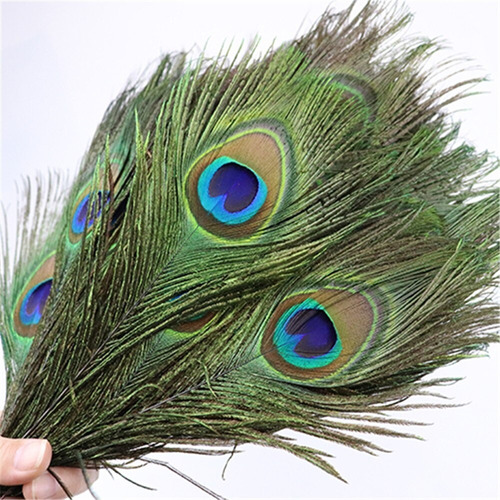 10 Plumas De Pavo Real Naturales Mexicanas  25-30cm Únicas