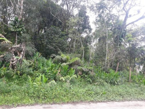 Imagem 2 de 4 de Lote De Chácara No Bairro Recanto Dos Imigrantes, Em Itanhaém, Com 415m² De Área Total